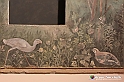 VBS_8806 - Mostra Invito a Pompei